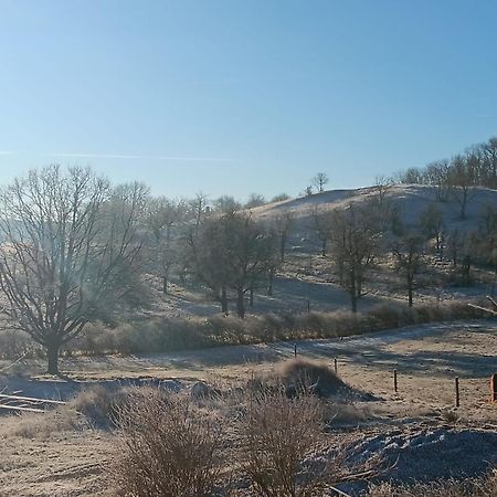 Pension Freudenthal Wandersleben Экстерьер фото