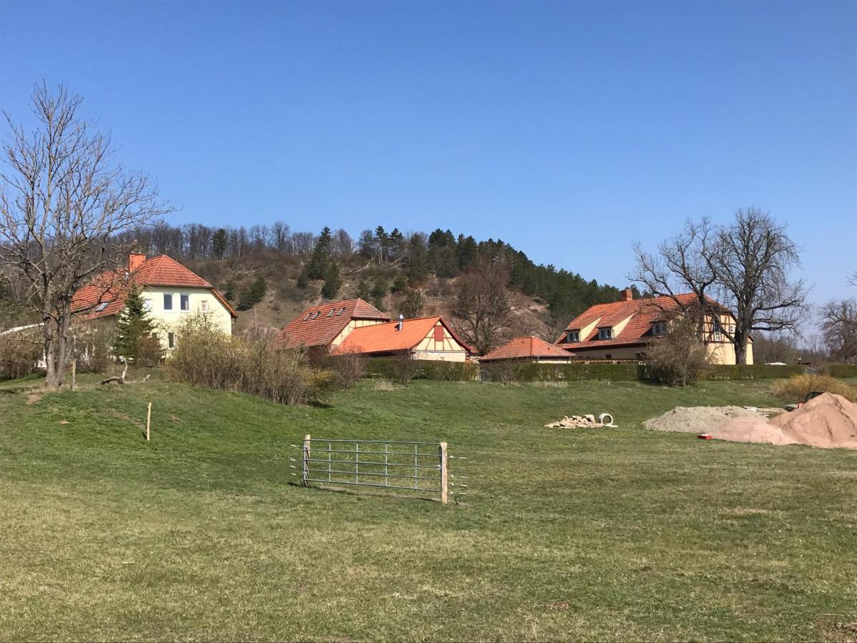 Pension Freudenthal Wandersleben Экстерьер фото
